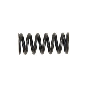 Fold Roll Spring MBO (00102947)